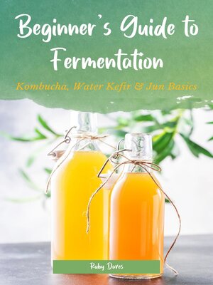 cover image of Beginner's Guide to Fermentation